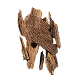 Woody 